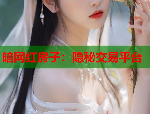 暗网红房子：隐秘交易平台