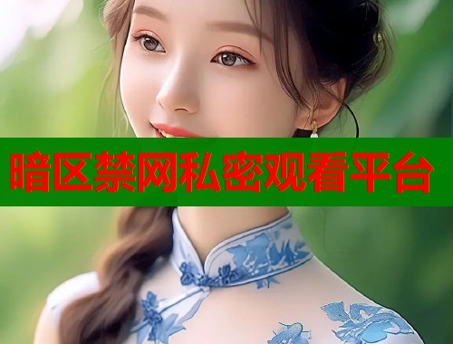 暗区禁网私密观看平台