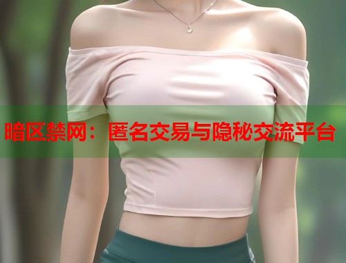 暗区禁网：匿名交易与隐秘交流平台