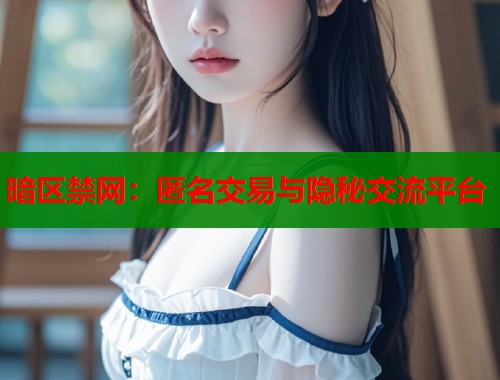 暗区禁网：匿名交易与隐秘交流平台