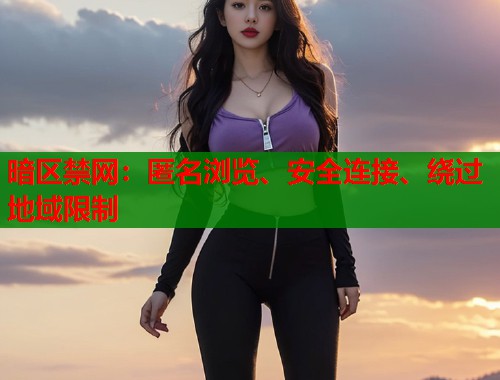 暗区禁网：匿名浏览、安全连接、绕过地域限制