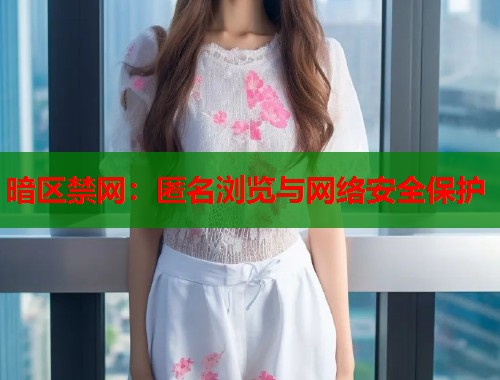 暗区禁网：匿名浏览与网络安全保护