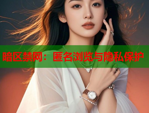 暗区禁网：匿名浏览与隐私保护