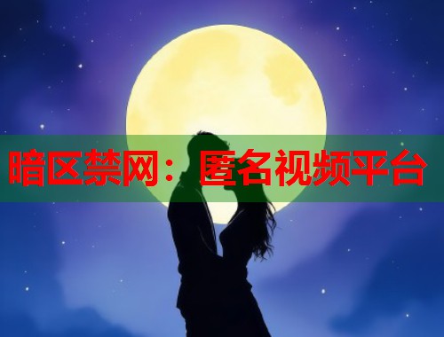 暗区禁网：匿名视频平台