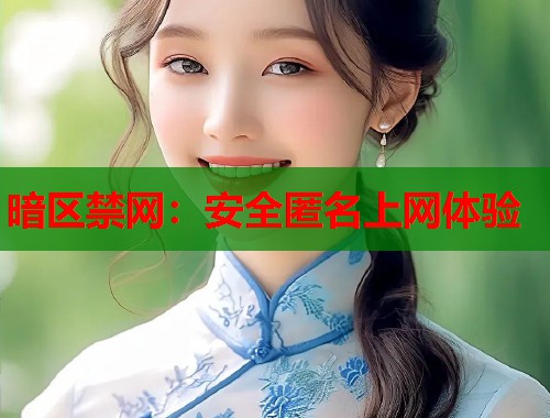 暗区禁网：安全匿名上网体验