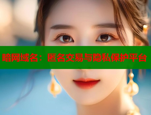 暗网域名：匿名交易与隐私保护平台
