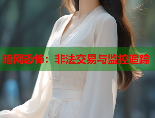 暗网恐怖：非法交易与监控追踪