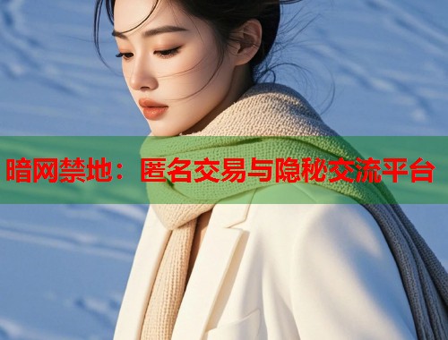 暗网禁地：匿名交易与隐秘交流平台