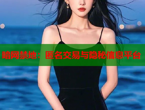 暗网禁地：匿名交易与隐秘信息平台