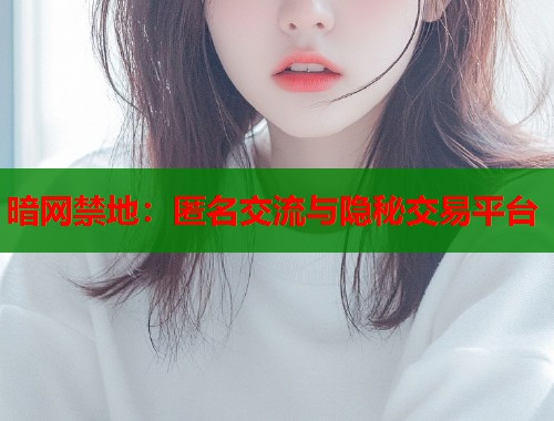 暗网禁地：匿名交流与隐秘交易平台