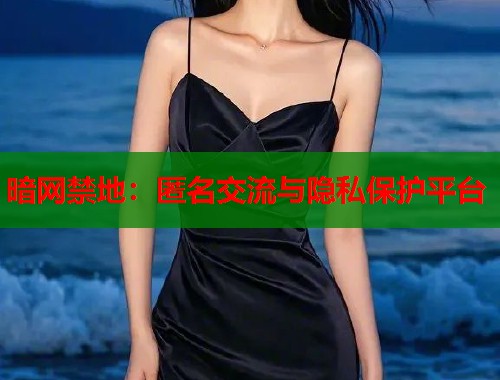 暗网禁地：匿名交流与隐私保护平台