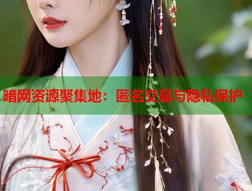 暗网资源聚集地：匿名交易与隐私保护