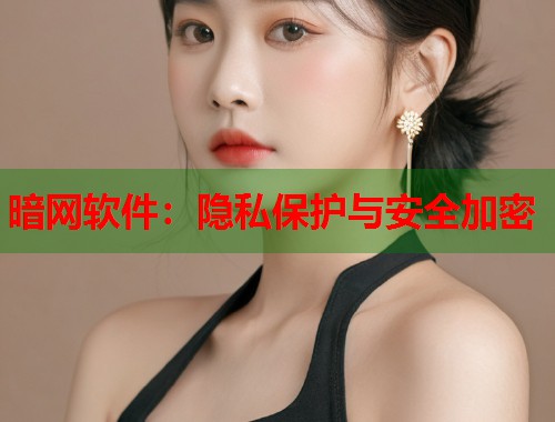 暗网软件：隐私保护与安全加密