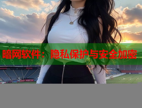 暗网软件：隐私保护与安全加密