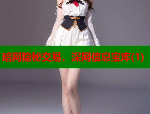 暗网隐秘交易，深网信息宝库(1)