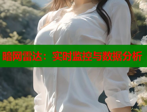 暗网雷达：实时监控与数据分析