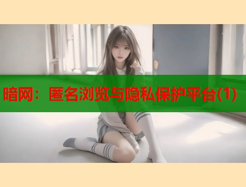 暗网：匿名浏览与隐私保护平台(1)