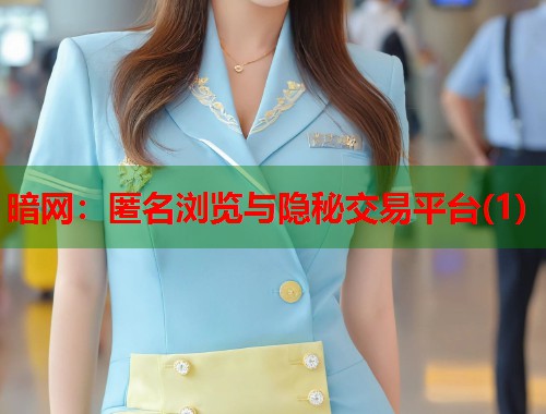 暗网：匿名浏览与隐秘交易平台(1)