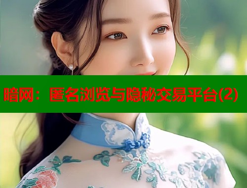 暗网：匿名浏览与隐秘交易平台(2)