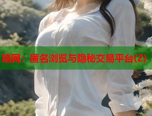暗网：匿名浏览与隐秘交易平台(2)