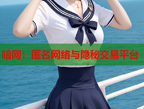 暗网：匿名网络与隐秘交易平台