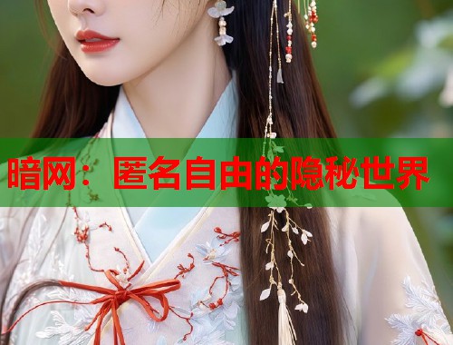 暗网：匿名自由的隐秘世界
