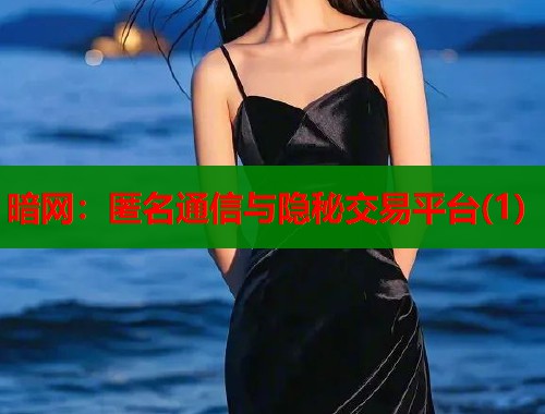 暗网：匿名通信与隐秘交易平台(1)