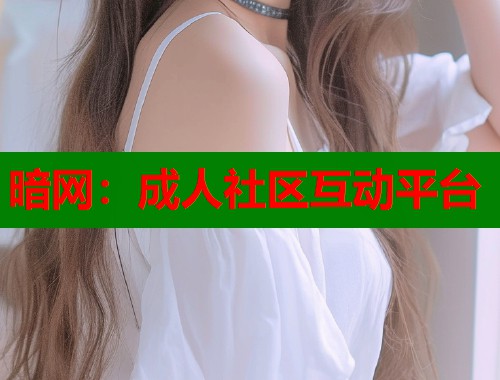 暗网：成人社区互动平台