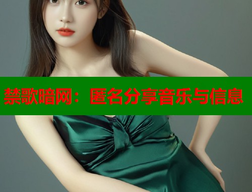 禁歌暗网：匿名分享音乐与信息