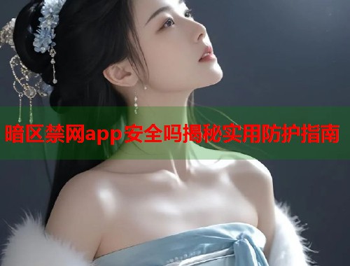 暗区禁网app安全吗揭秘实用防护指南