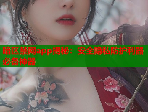 暗区禁网app揭秘：安全隐私防护利器必备神器