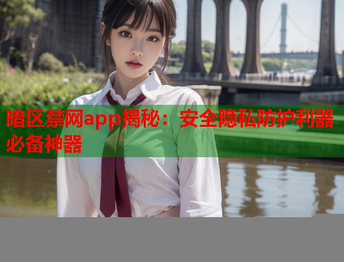 暗区禁网app揭秘：安全隐私防护利器必备神器