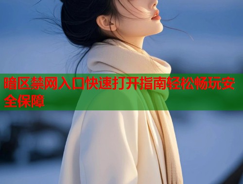 暗区禁网入口快速打开指南轻松畅玩安全保障