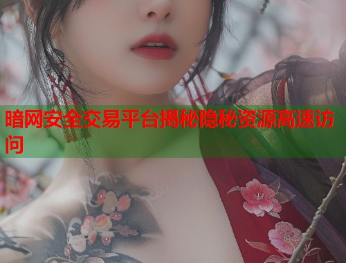 暗网安全交易平台揭秘隐秘资源高速访问