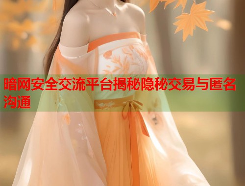 暗网安全交流平台揭秘隐秘交易与匿名沟通