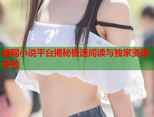 暗网小说平台揭秘极速阅读与独家资源体验