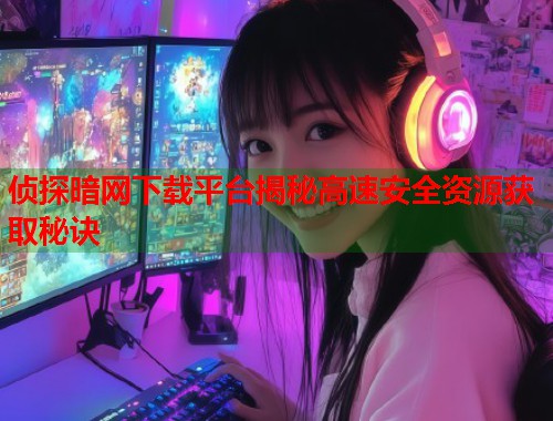 侦探暗网下载平台揭秘高速安全资源获取秘诀