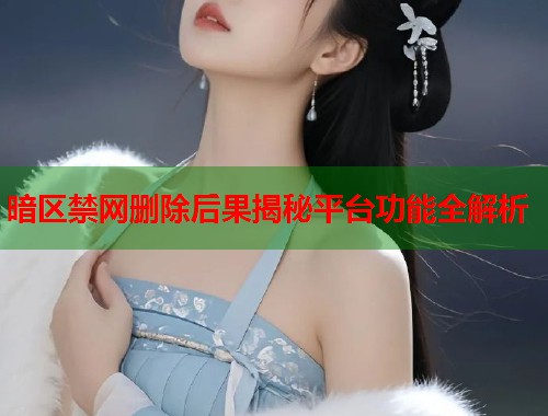 暗区禁网删除后果揭秘平台功能全解析