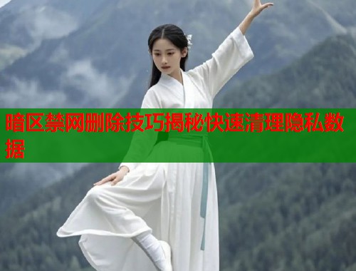 暗区禁网删除技巧揭秘快速清理隐私数据