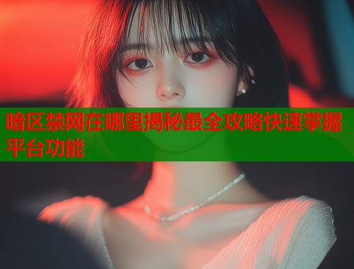 暗区禁网在哪里揭秘最全攻略快速掌握平台功能