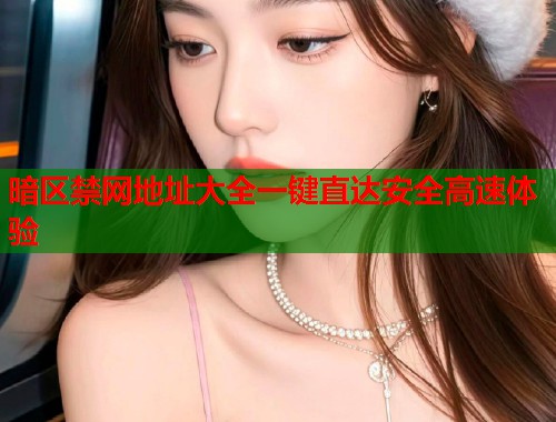 暗区禁网地址大全一键直达安全高速体验