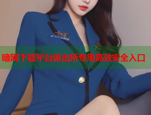 暗网下载平台派出所专用高效安全入口