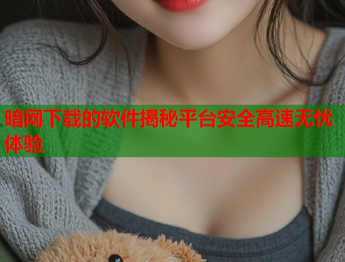 暗网下载的软件揭秘平台安全高速无忧体验