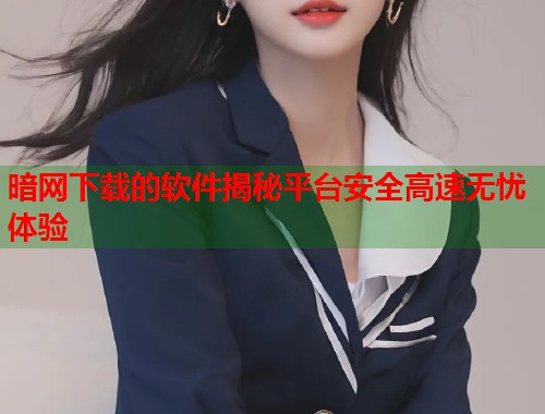 暗网下载的软件揭秘平台安全高速无忧体验