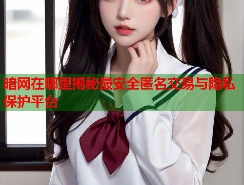 暗网在哪里揭秘最安全匿名交易与隐私保护平台