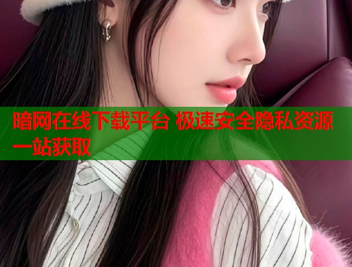 暗网在线下载平台 极速安全隐私资源一站获取