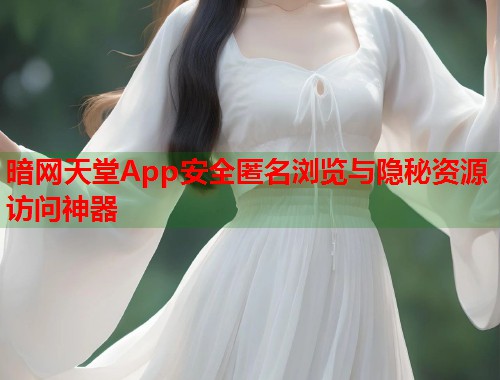暗网天堂App安全匿名浏览与隐秘资源访问神器