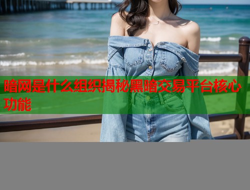 暗网是什么组织揭秘黑暗交易平台核心功能