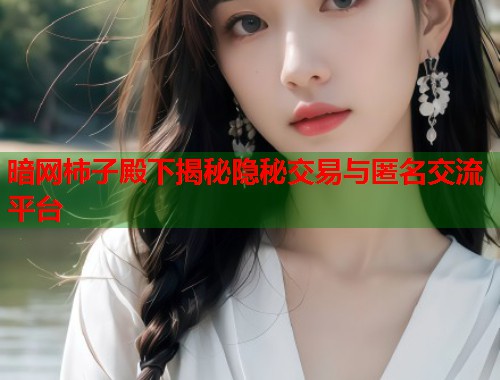 暗网柿子殿下揭秘隐秘交易与匿名交流平台