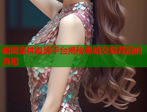 暗网案件追踪平台揭秘黑暗交易背后的真相